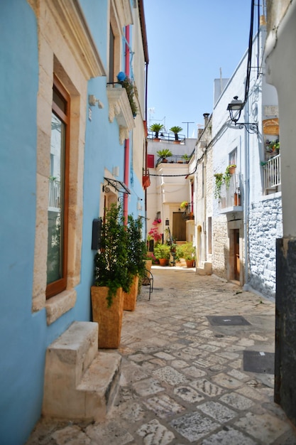 Una piccola strada a casamassima, un villaggio con case di colore blu nella puglia, in italia