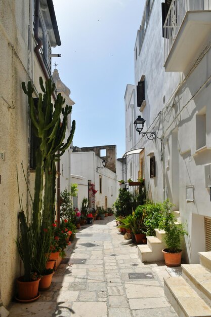 Photo a small street between the old houses of polignano a mare a town in puglia italy