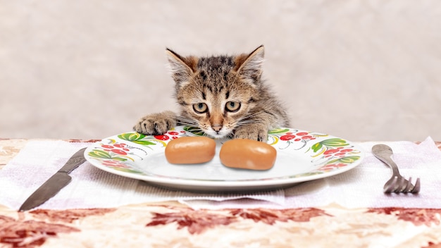 ソーセージのプレートの近くにある小さな縞模様の子猫が食べ物を盗もうとします