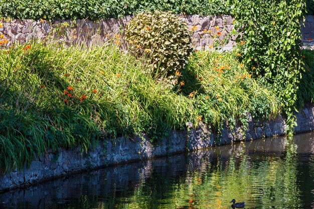 Small summer lake with green reflections