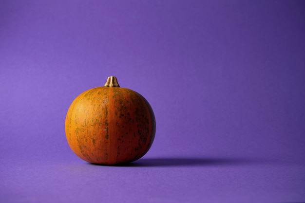 Small textured pumpkin on a purple wall. halloween decoration