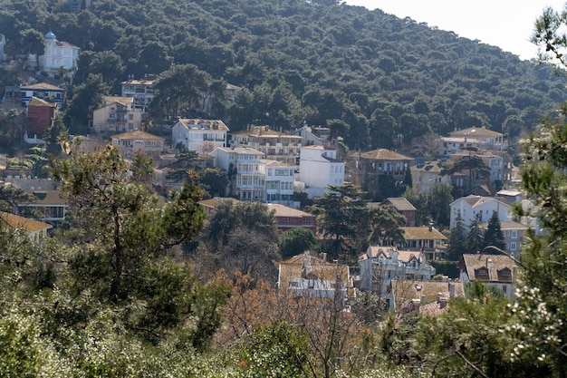 A small town with a lot of trees and houses