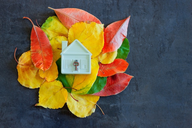 Foto piccola casa giocattolo tra variopinte foglie d'autunno