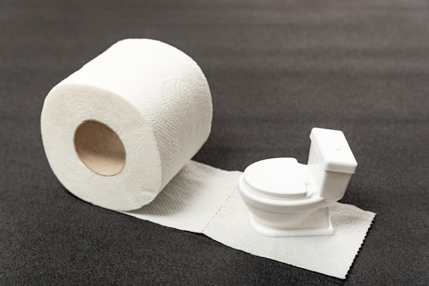 Small toy toilet bowl on roll of white toilet paper gray background Ecofriendly recycled toilet paper