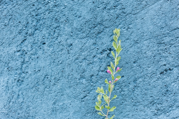 small tree and purple on blue rough cement wall