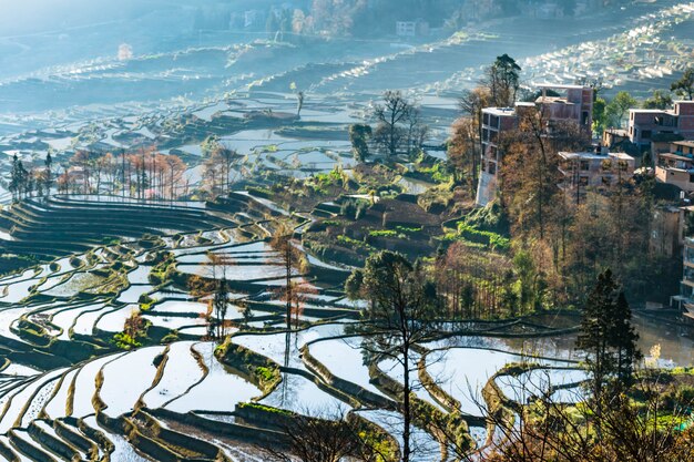 Фото Небольшая деревня и террасные рисовые поля yuanyang, китай утром
