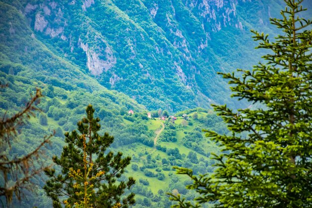 A small village is located on the mountainside