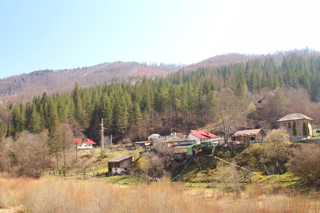 Photo a small village with a mountain in the background