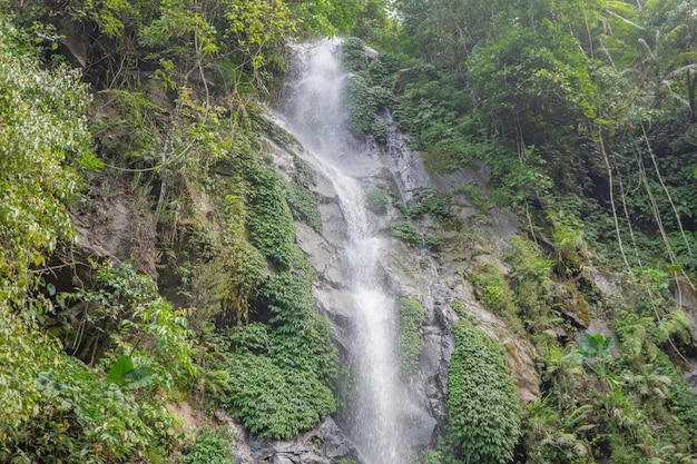 Small water fall on the tropical forest when rain season