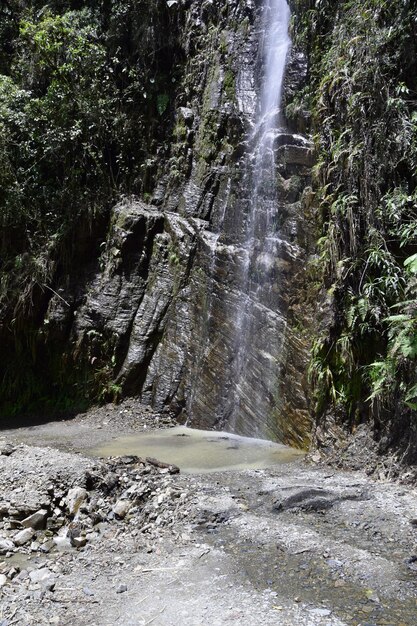 La Paz와 Coroico Bolivia 사이의 죽음의 도로 Camino de la Muerte Yungas North Road의 작은 폭포