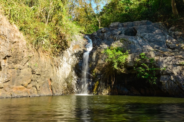 Foto piccola cascata nella foresta profonda.