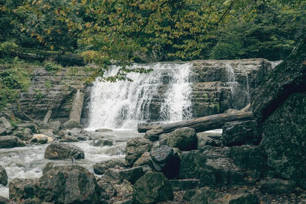 A small waterfall flows into the river