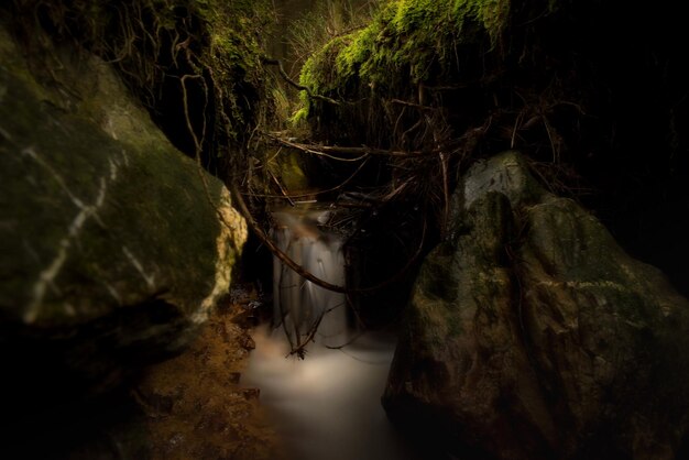 Photo small waterfall in forest