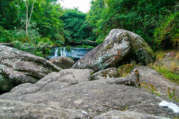 Small waterfall in forest