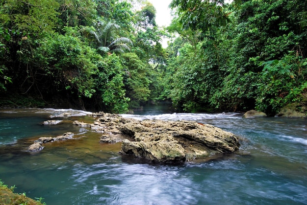 Small waterfall in the forest