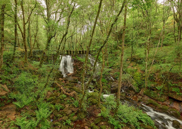 Small waterfall formed in the Arenteiro river, in the region of Galicia, Spain.