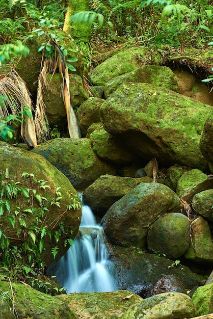 Небольшой водопад в джунглях Небольшой водопад в тропических лесах Гавайев Оаху Гавайи