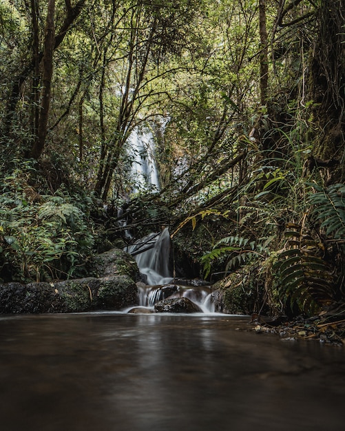 small waterfall in the middle of the jungle