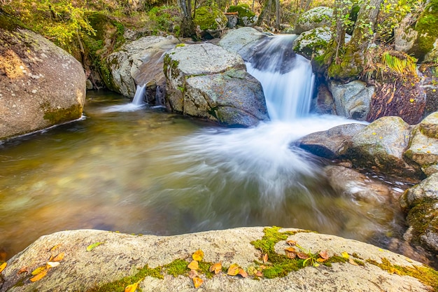 Небольшой водопад в реке, чей поток протекает между большими гранитными камнями глубоко в темной лесной концепции
