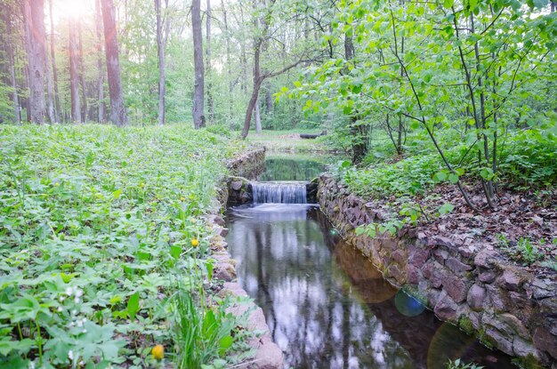 Небольшой водопад на небольшом живописном ручье в лесу