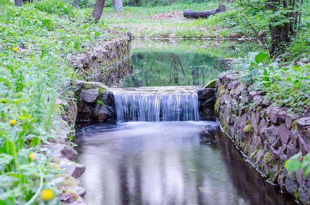 Photo small waterfall on a small picturesque brook in the forest