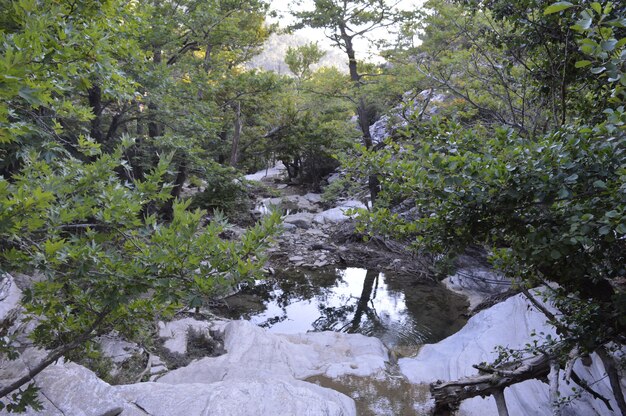 небольшой водопад в камнях озеро в камнях летние каникулы
