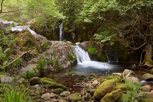 Small waterfall of the Treito river known as Baston well, it is a natural pool in an environment of great beauty.