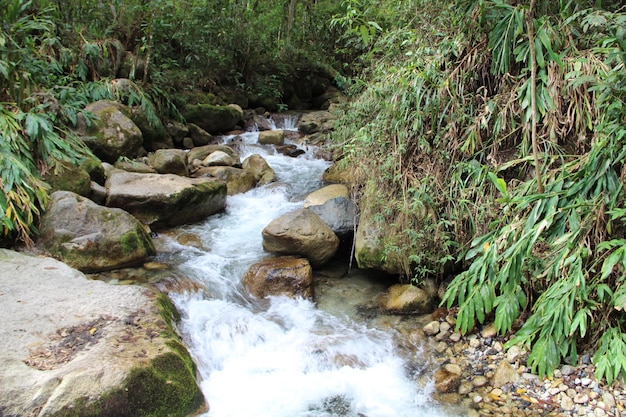 Piccole cascate prima di raggiungere aguas calientes perù