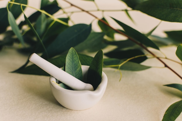 Small white ceramic mortar with eucalyptus leaves Beauty and spa concept