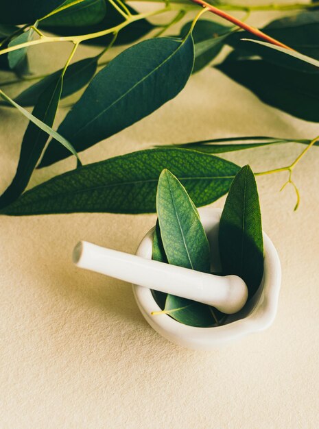 Photo small white ceramic mortar with eucalyptus leaves beauty and spa concept