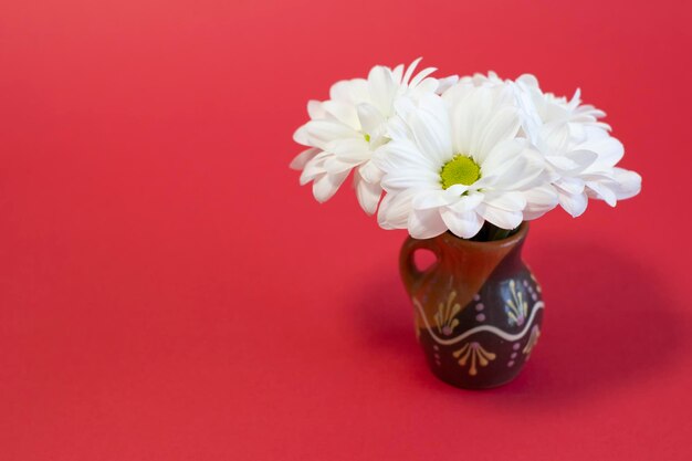 Small white fresh daisies in a brown clay vase on bright red background closeup