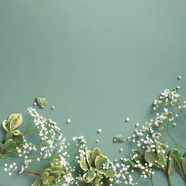 사진 파스텔 녹색 배경에 작은 흰색 집소필라 꽃 여성의 날 어머니의 날 발렌타인 데이 웨딩 컨셉 플랫 레이 탑 뷰 복사 공간