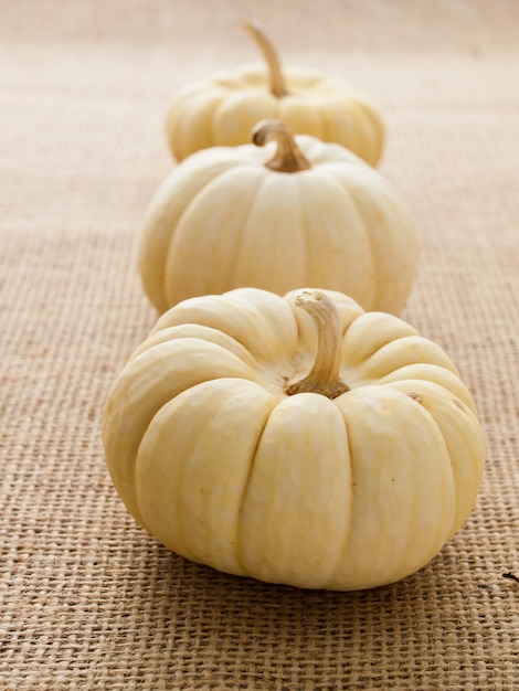 Small white pumpkins on burlap fabric.