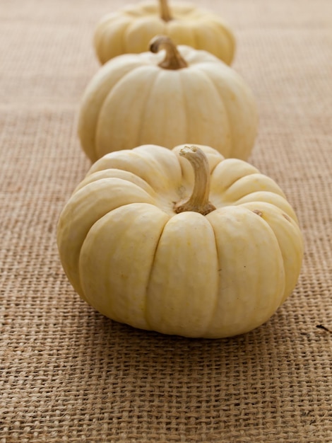 Small white pumpkins on burlap fabric.