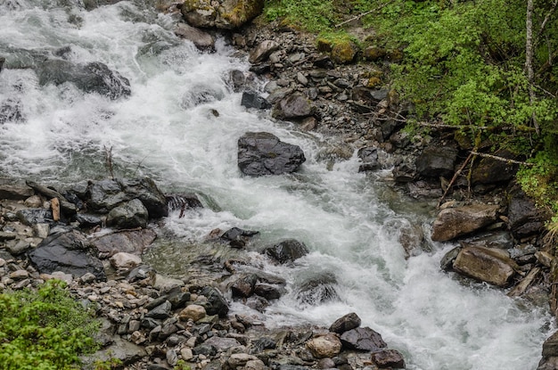 Small wild brook in mountains