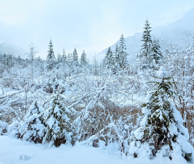 Small winter stream view through twigs of snowy trees on bank. Cloudy weather.