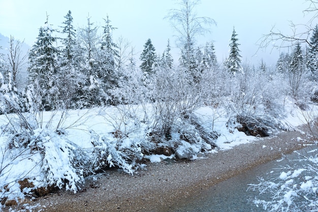 土手に雪に覆われた木々がある小さな冬の小川。