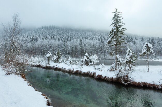 Small winter stream with snowy trees on bank.