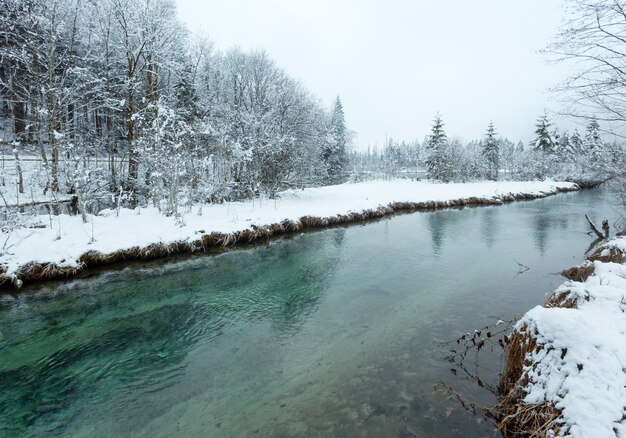 Фото Небольшой зимний ручей с заснеженными деревьями на берегу.