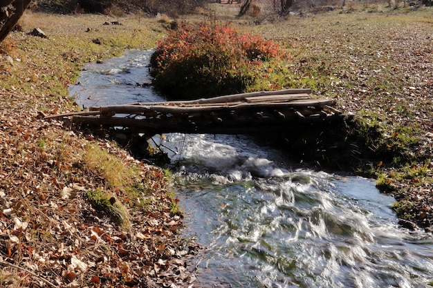 Foto piccolo ponte di legno foglie d'autunno e fiume