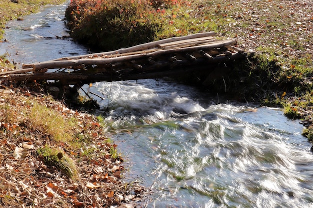 Small wooden bridge Autumn leaves and river