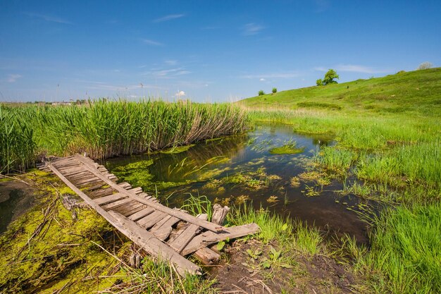 Small wooden bridge