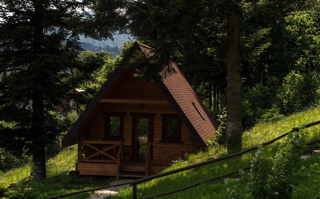 Piccola casetta in legno nella foresta