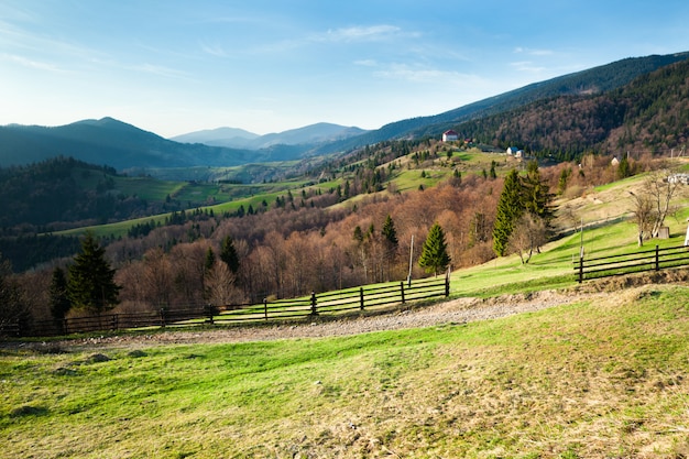 Small wooden fence located on green hill