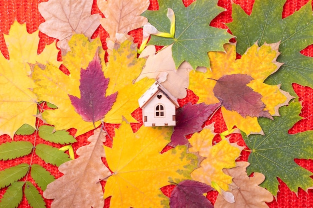 Small wooden house on a red knitted background with redyellow leaves The house is a symbol of family and love