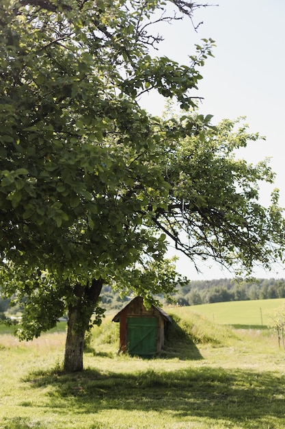 Small wooden house in rural field view on a farmhouse in countryside summer scenic landscape