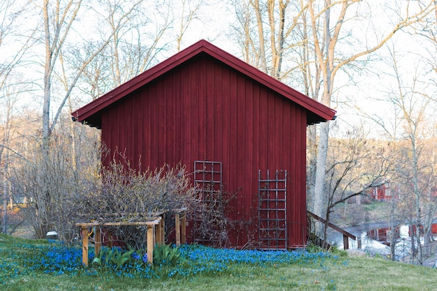 small wooden house in the village in a field with spring blue flowers