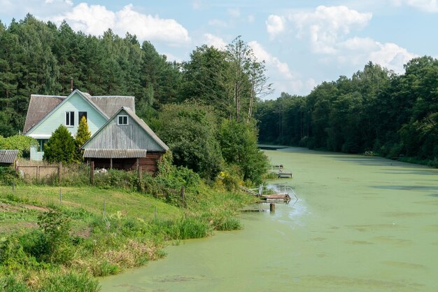 강둑에 있는 마을의 작은 목조 주택 화창한 여름날 강둑을 따라 피는 숲과 물 위에 구름