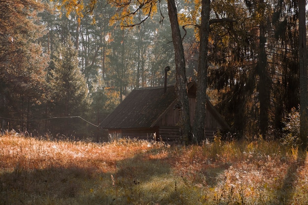 Small wooden hut on a sunny meadow in the autumn forest