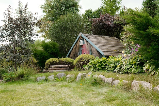 Small wooden shabby cabin or barn standing among green bushes and trees